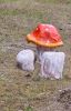 PICTURES/Art  101 - Bandon/t_Mushrooms1.jpg